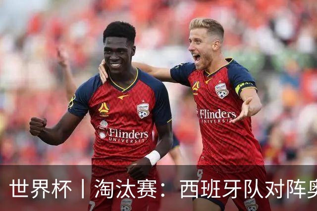 世界杯丨淘汰赛：西班牙队对阵奥地利队