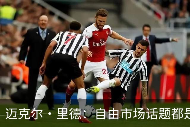 迈克尔·里德：自由市场话题都是关于勒布朗的 多关注一下老将吧